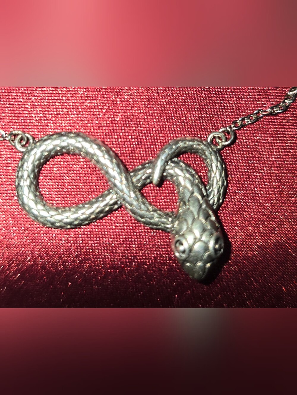 Silver Snake Infinity Necklace